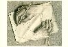 Hands Drawing Hands (M.C. Escher)